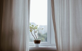 Surviving a narcissist during lock down 